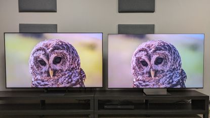 Sony Bravia 7 II (left) vs Samsung R95H (right) showing an owl on screen. Both TVs show excellent detail