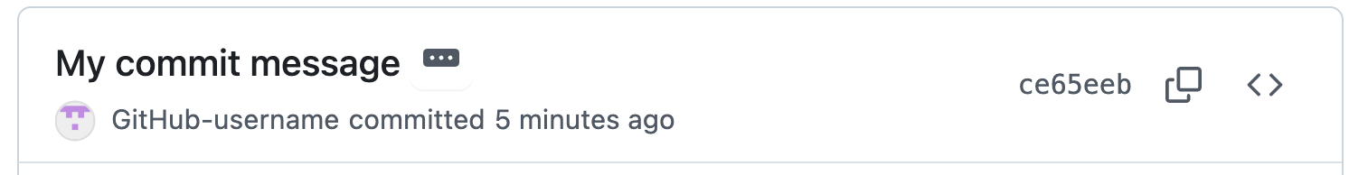 Git commit showing author identity with username and email