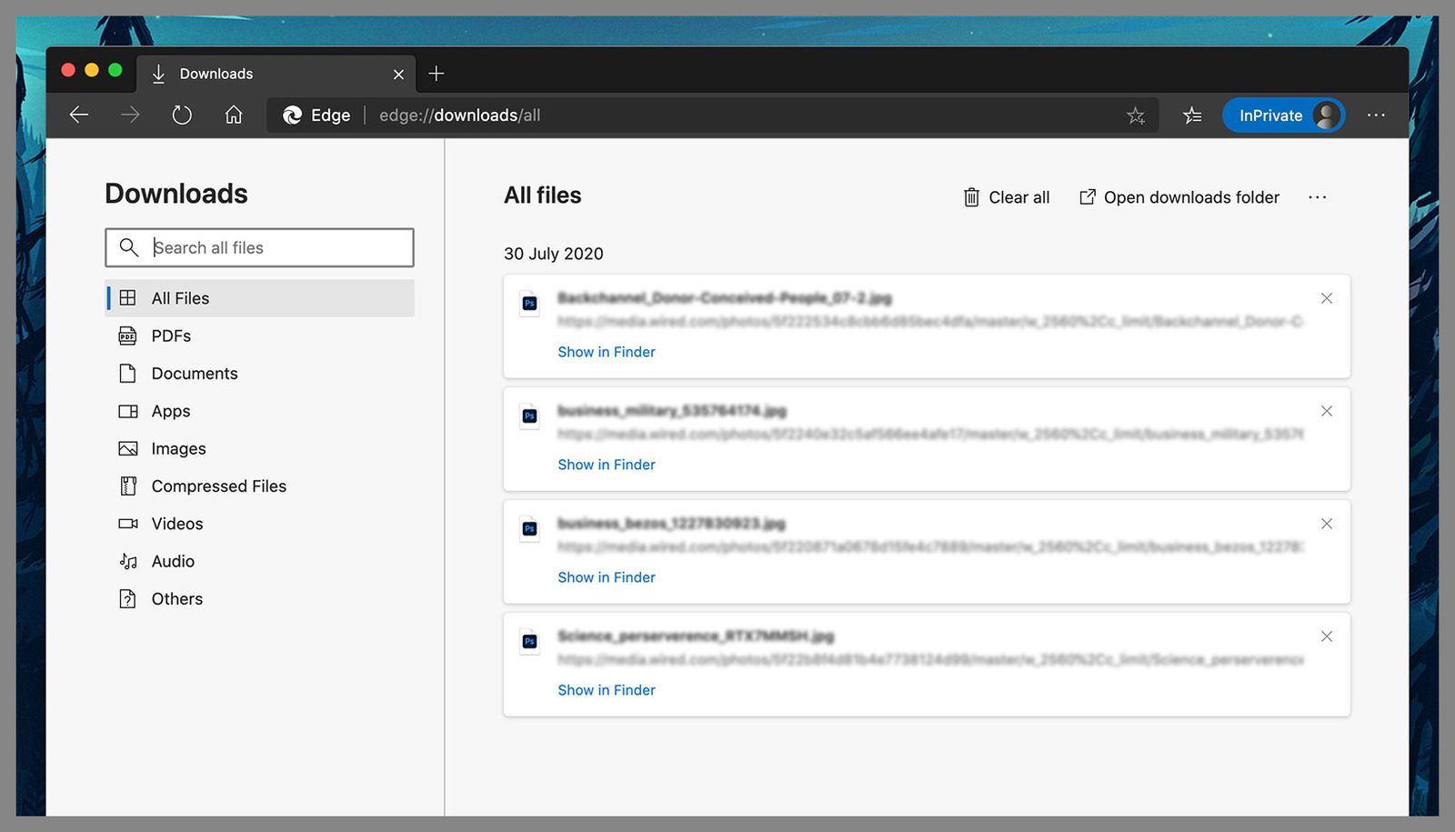 screenshot of google chrome download page