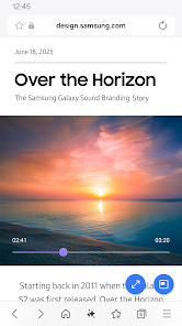 Screenshot image